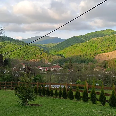 Brvnara Beli